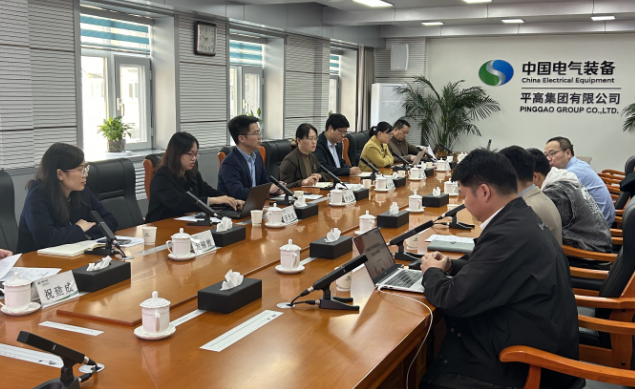 中建君联顺利通过平高集团工程项目管理系统需求设计评审会(图3)
